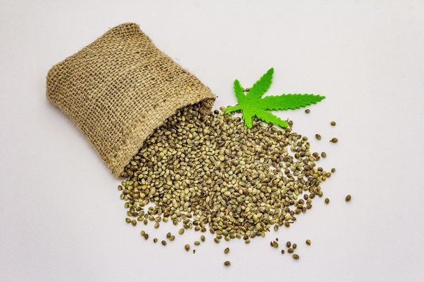 What are hemp hearts?