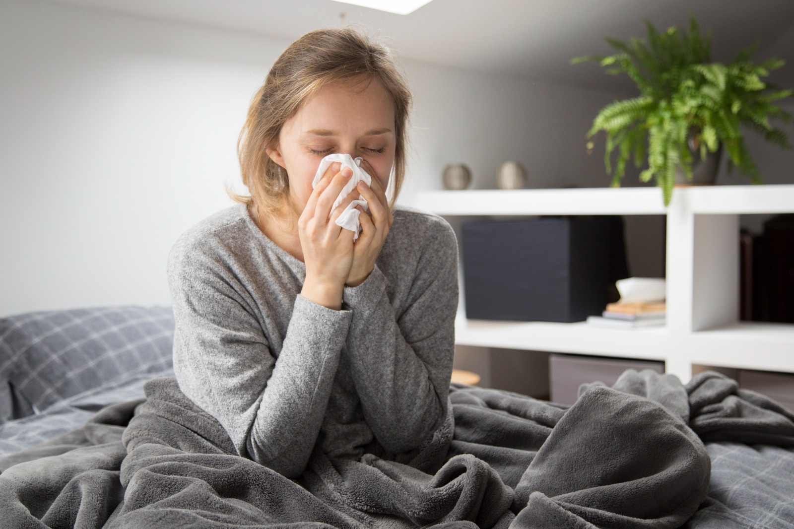 What is the best Ayurvedic remedy for curing fever, cold, flu?