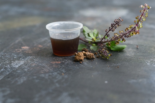 Which is the best herbal cough syrup?