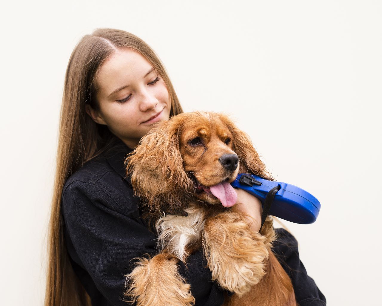 What medication is safe to give a dog with arthritis?