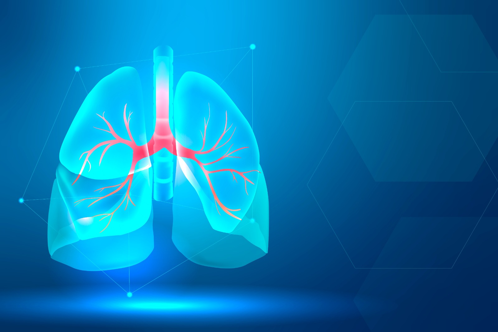What is Ayurveda remedy for congestion in lungs or chest?