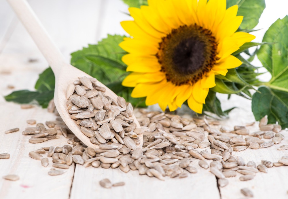 Are sunflower seeds healthy?