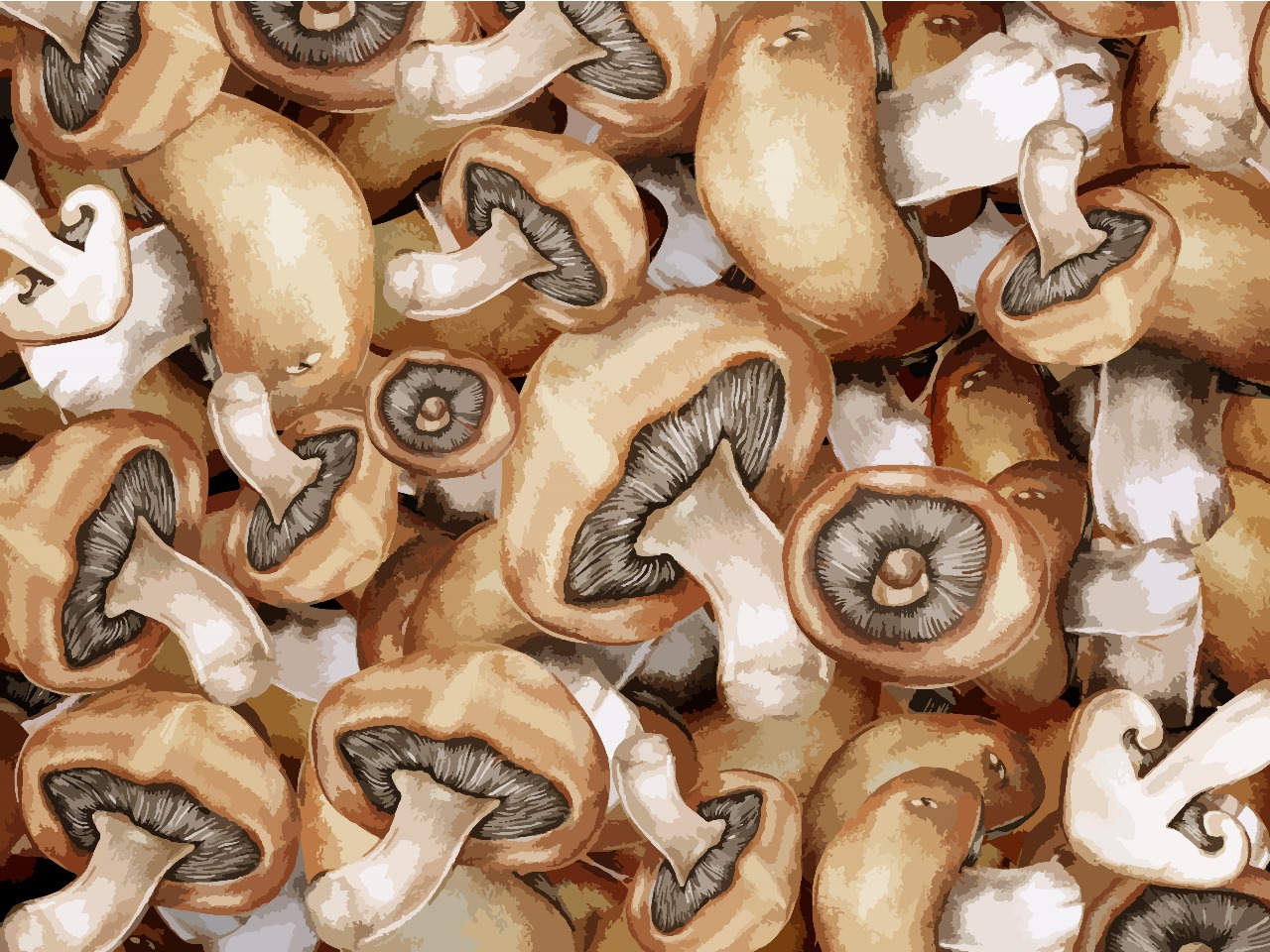 Do mushrooms have medicinal properties?