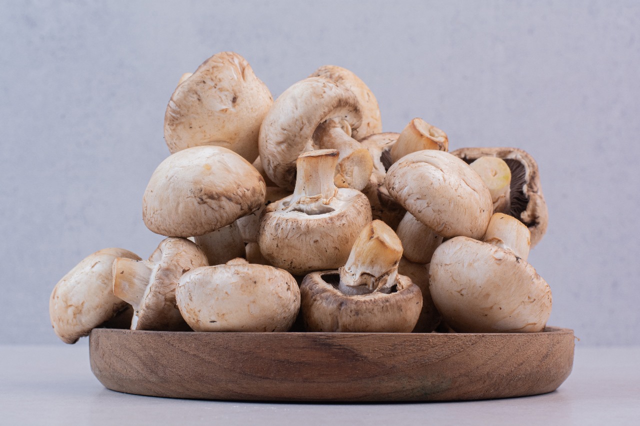 Functional Mushrooms: Nature's Secret for Optimal Wellbeing