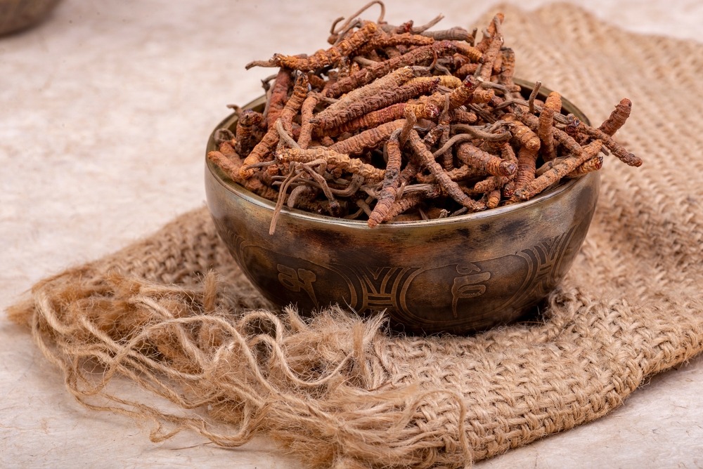 What are cordyceps good for?