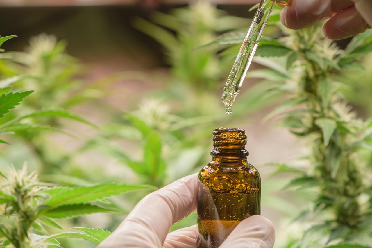 Does Medical Hemp helps in improving energy level?
