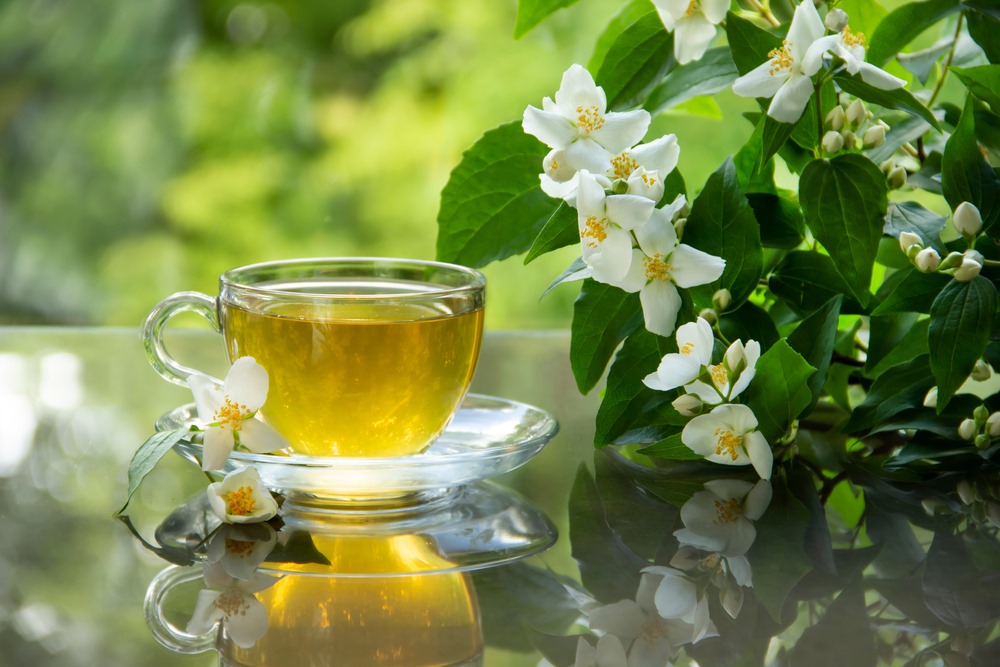 Sip Your Way to Better Health: 6 Surprising Reasons to Drink Jasmine Tea