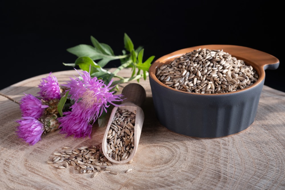Exploring the Power of Milk Thistle in Supporting Liver Health