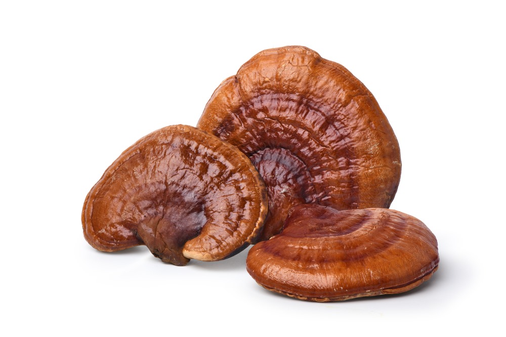 Is Reishi Mushroom trully beneficial medically?