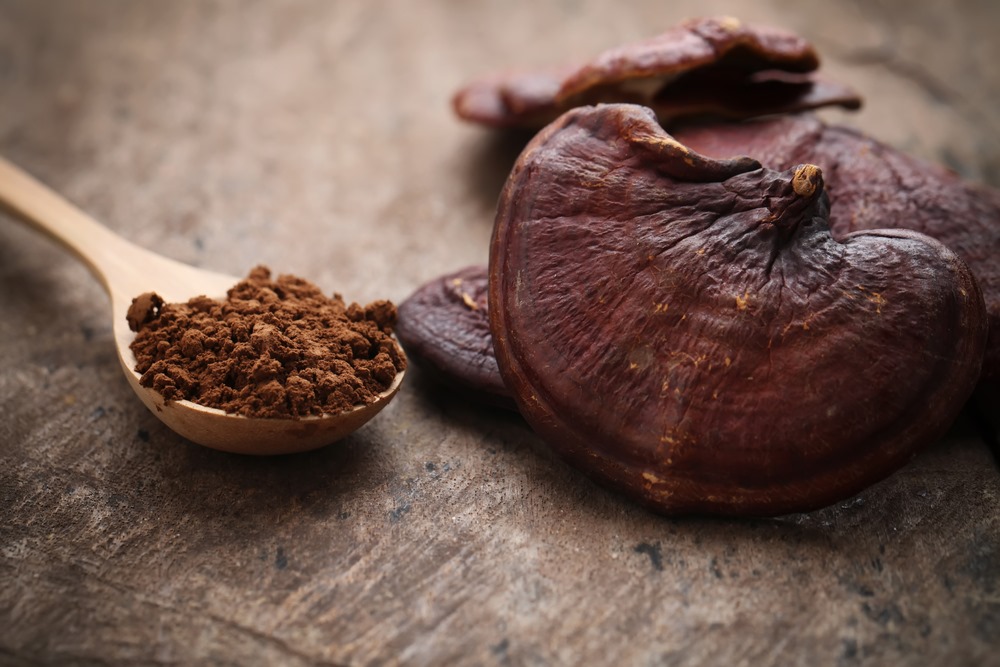 How beneficial is taking reishi mushrooms?