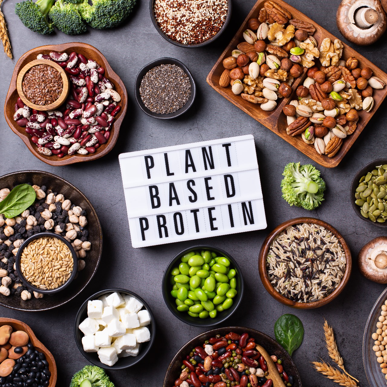 What is the best plant-based protein for gym-goers?