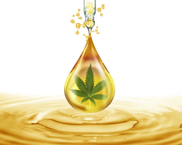 Is it Safe to Take Hemp Seed Oil Daily?