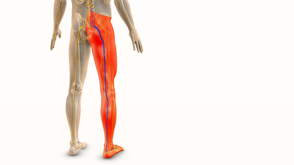 Can we recover from sciatic nerve damage without surgery?