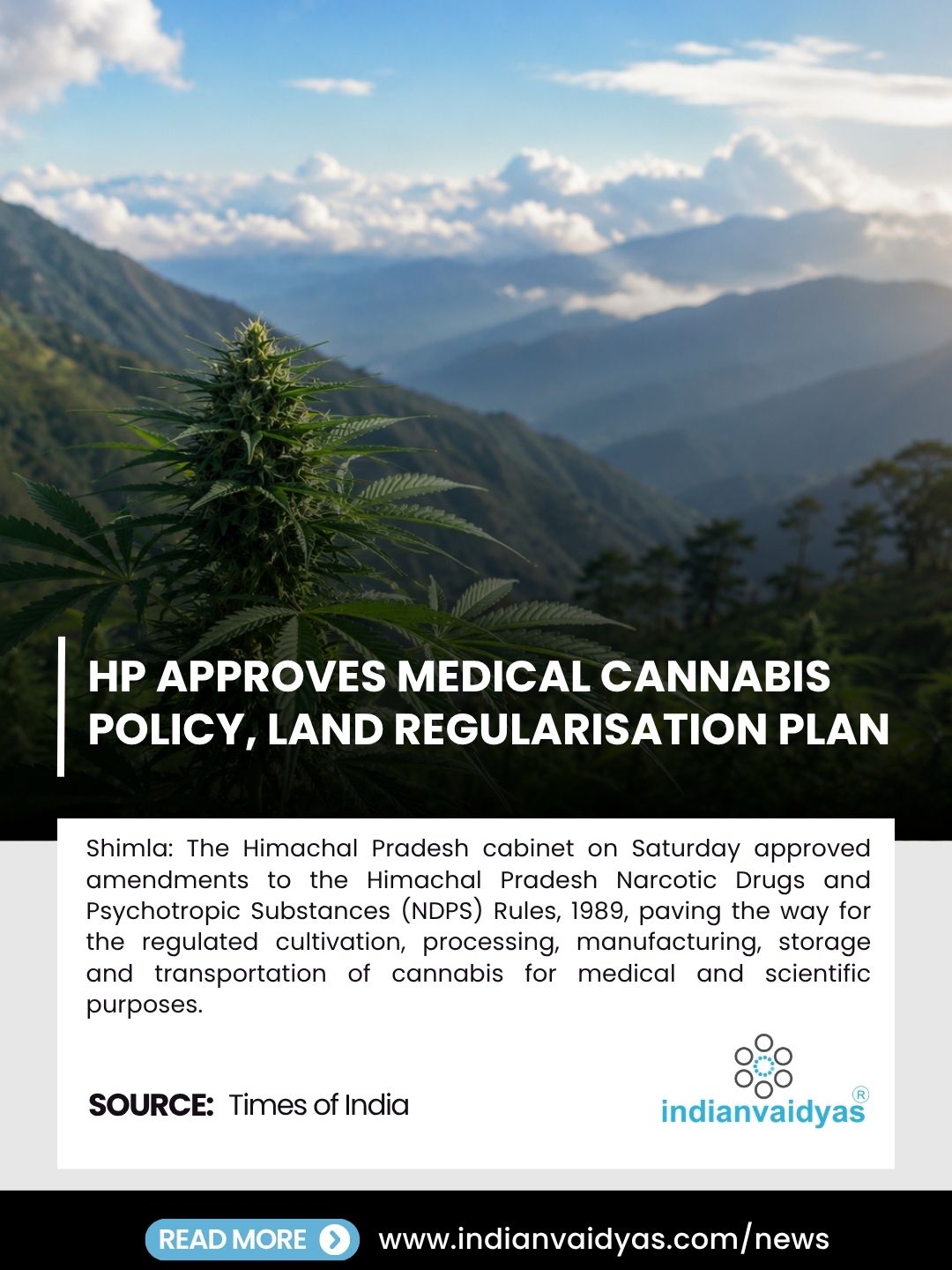 HP Cabinet Approves Medical Cannabis & Land Regularisation
