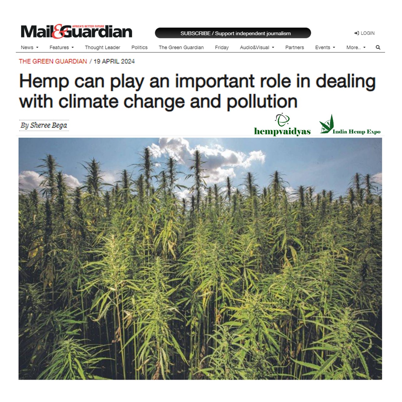 Hemp can play an important role in dealing with climate change and pollution