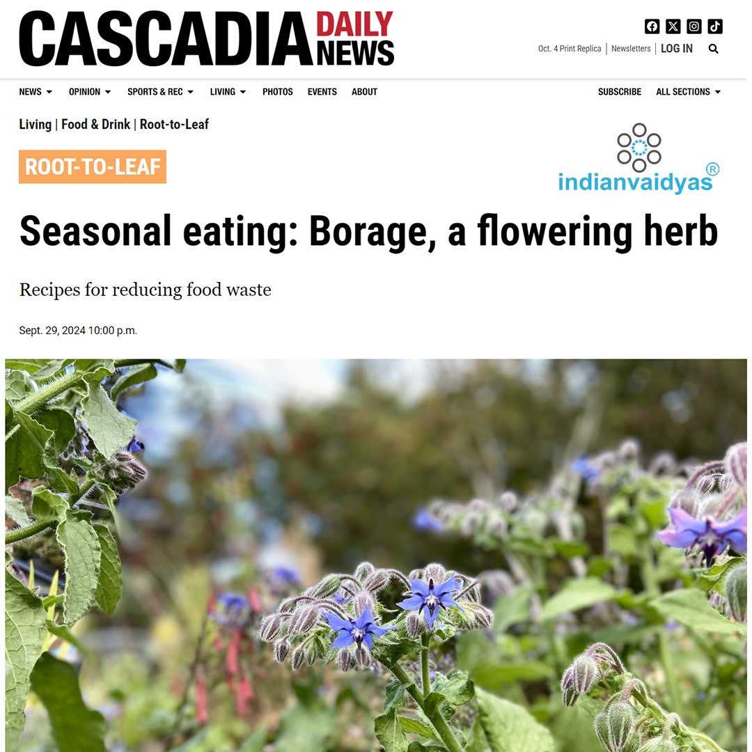 Seasonal eating: Borage, a flowering herb