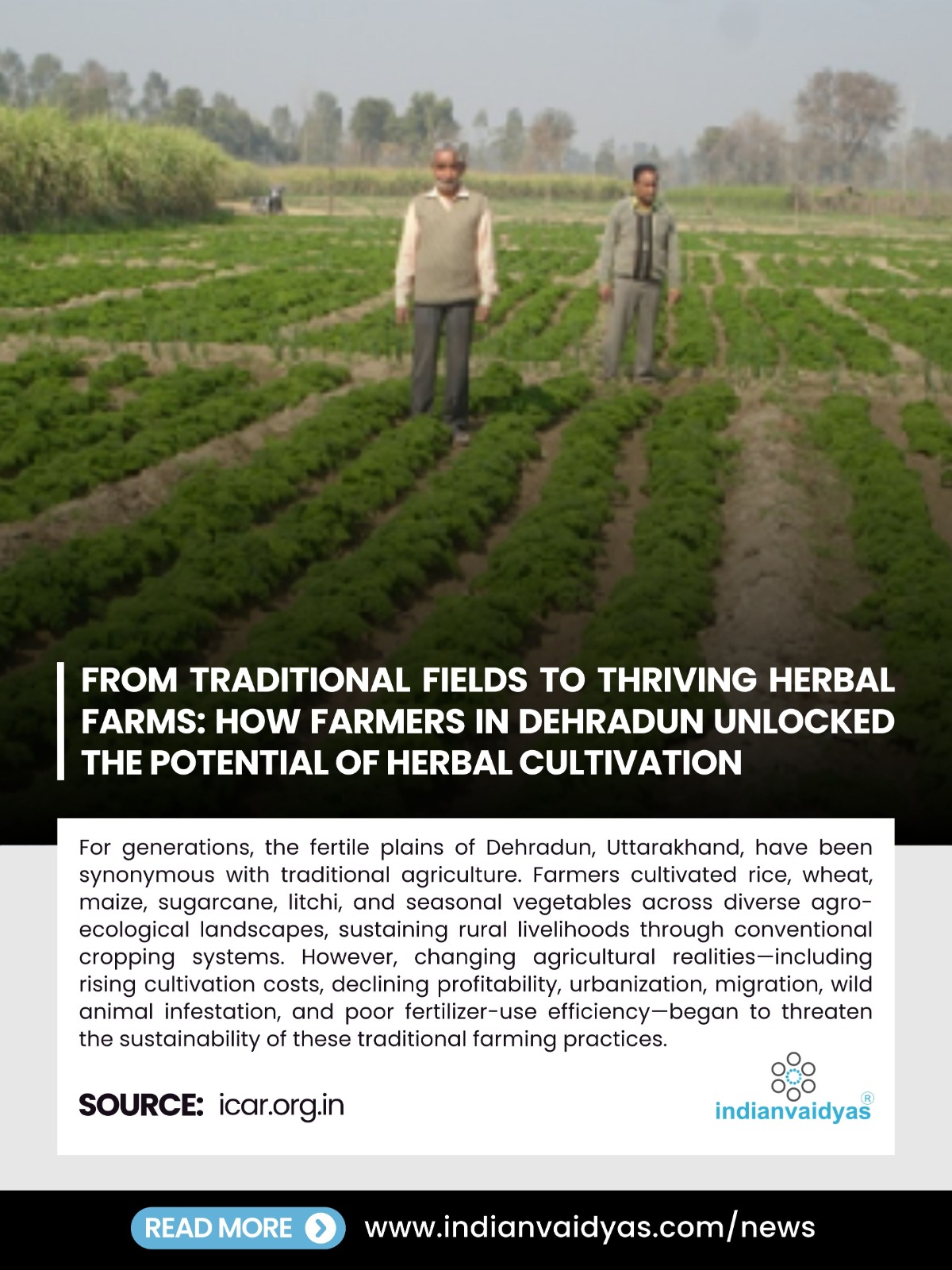 Agricultural Transformation: How Farmers in Dehradun Unlocked High-Yield Herbal Cultivation